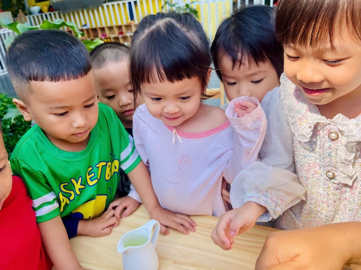 Ảnh hoạt động