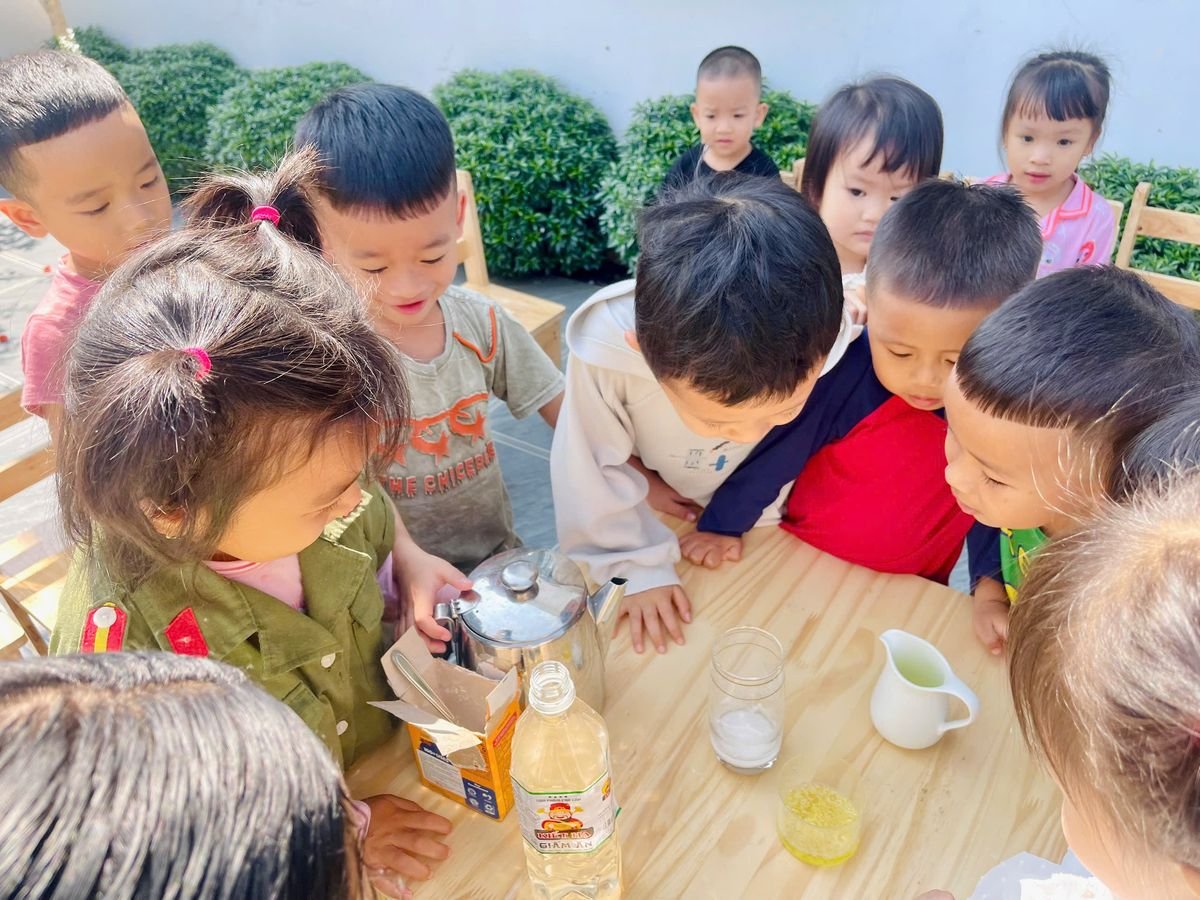 Ảnh hoạt động