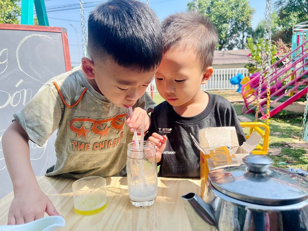 Ảnh hoạt động