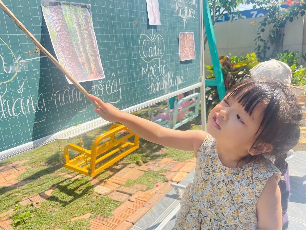 Ảnh hoạt động