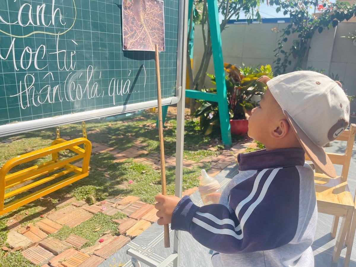 Ảnh hoạt động