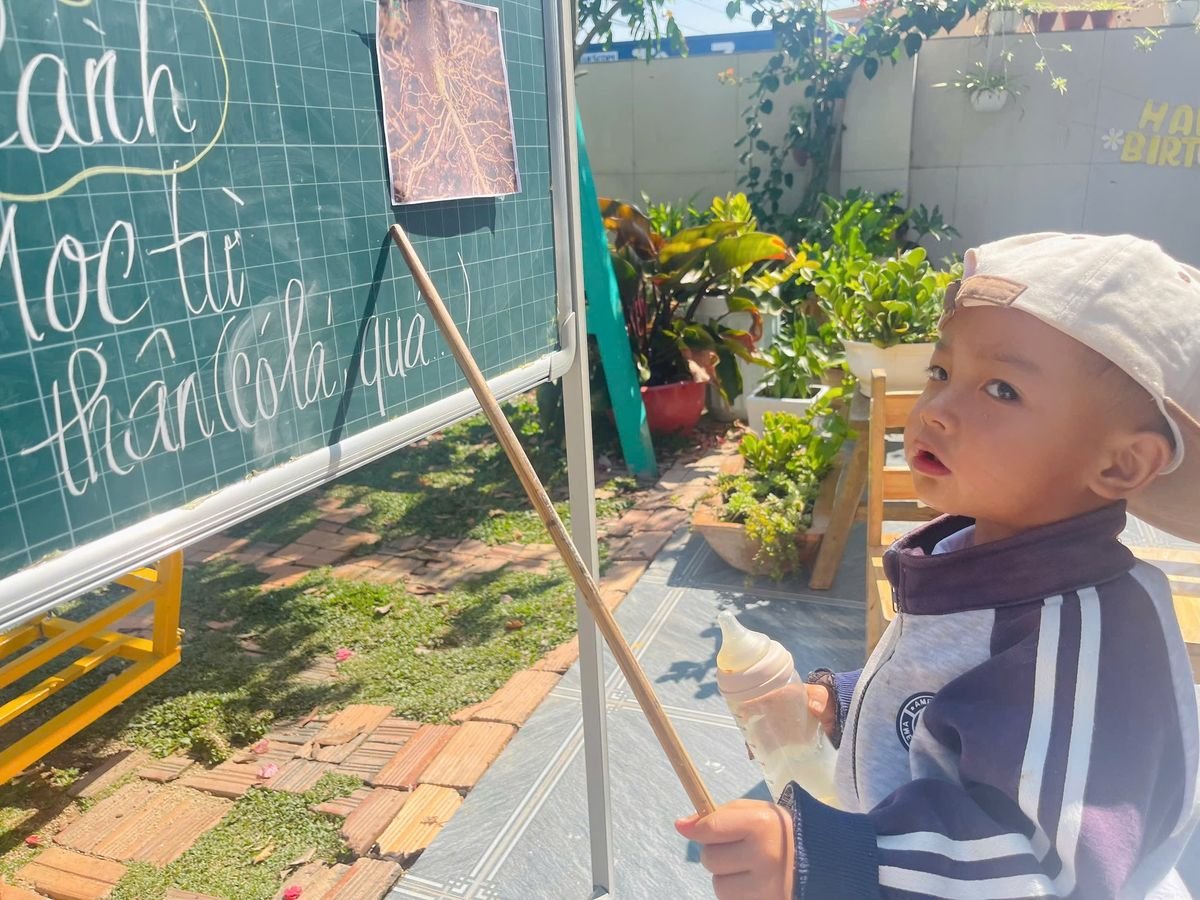 Ảnh hoạt động