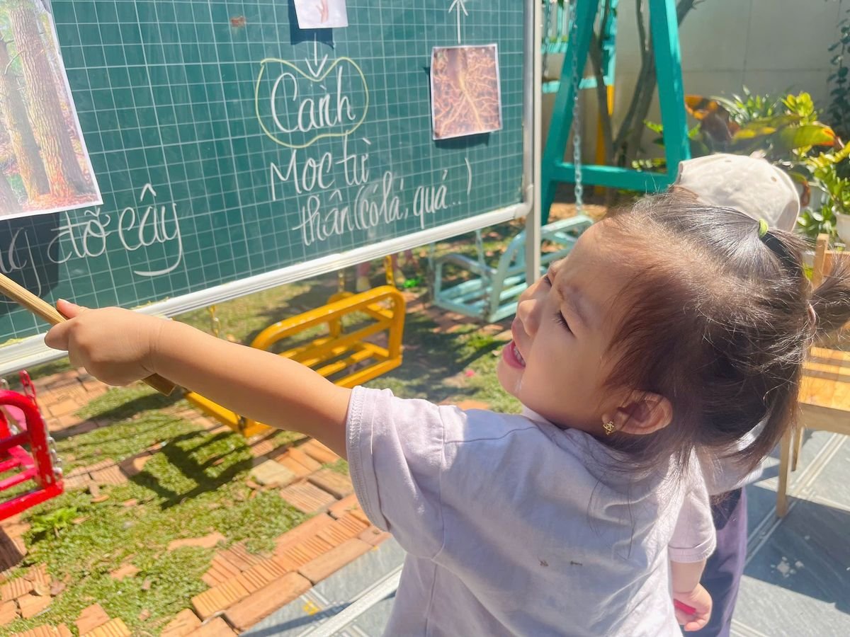 Ảnh hoạt động