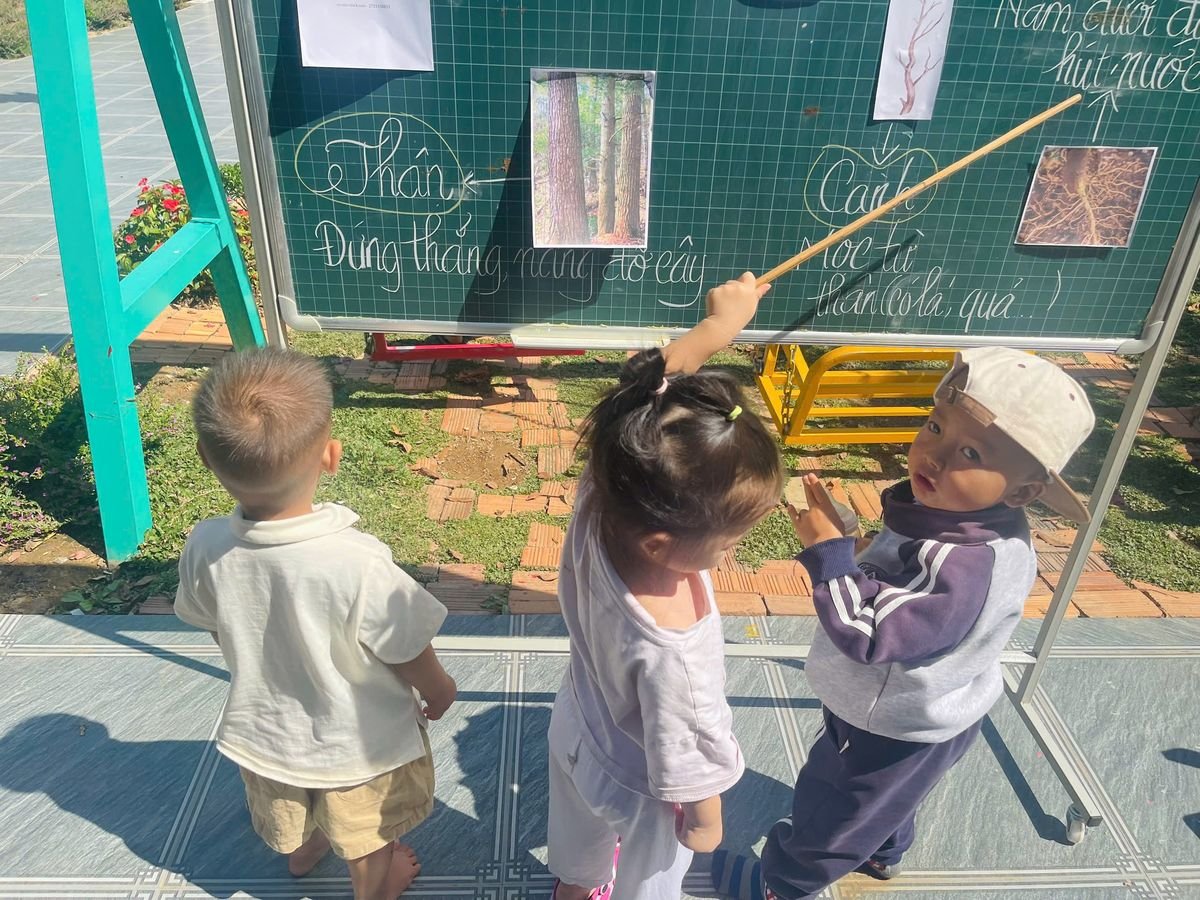 Ảnh hoạt động