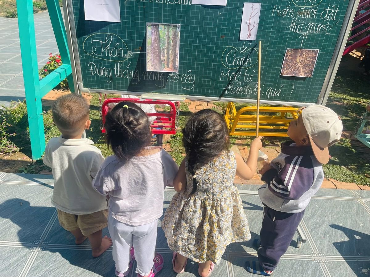 Ảnh hoạt động