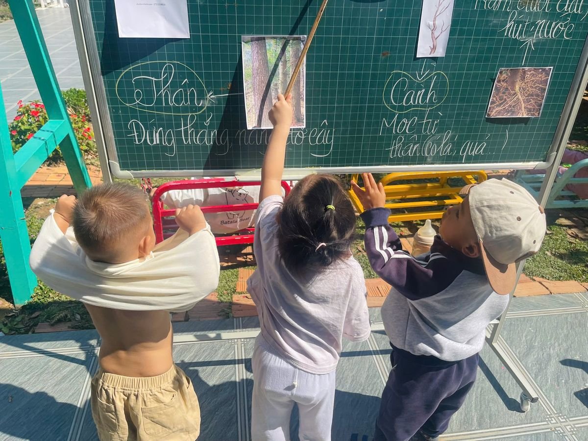 Ảnh hoạt động