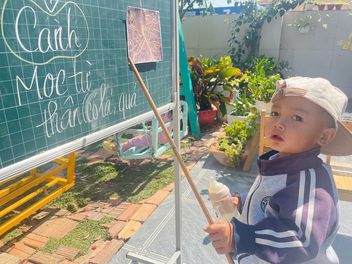 Ảnh hoạt động