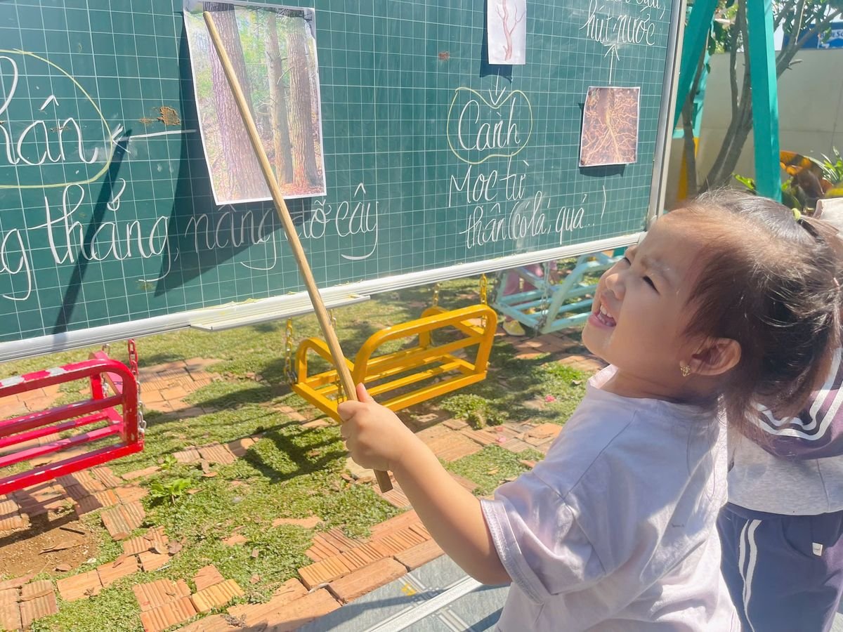 Ảnh hoạt động