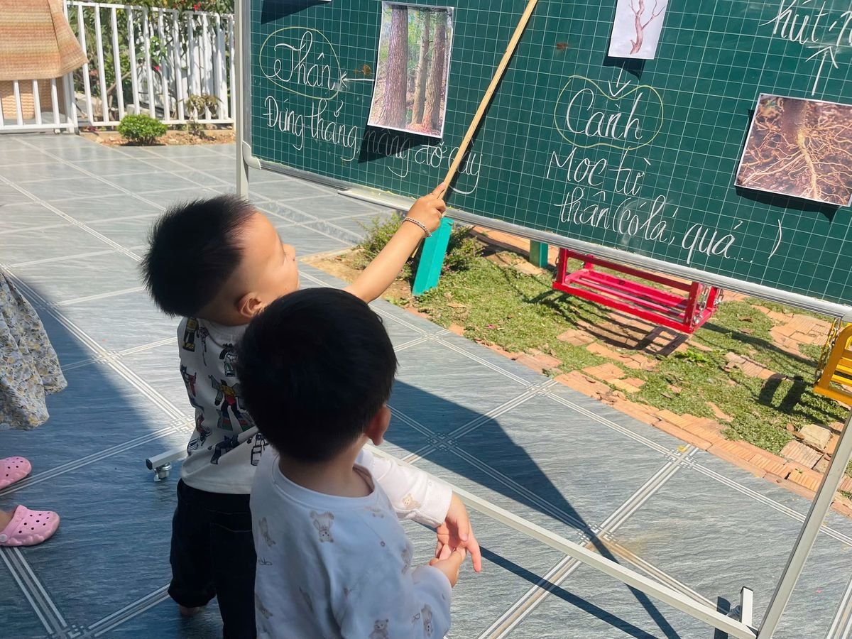 Ảnh hoạt động