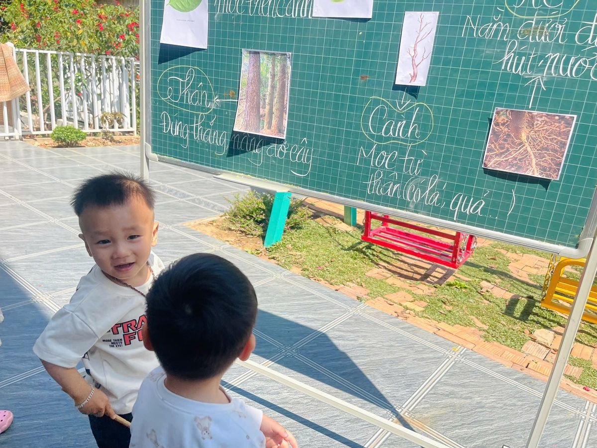 Ảnh hoạt động