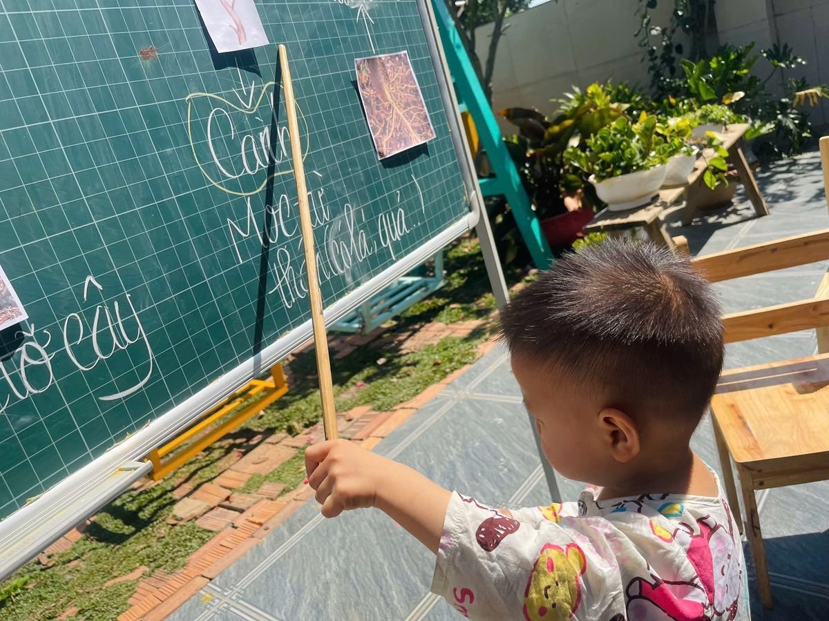 Ảnh hoạt động