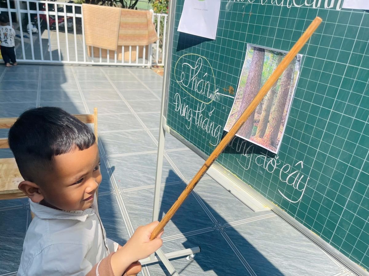 Ảnh hoạt động