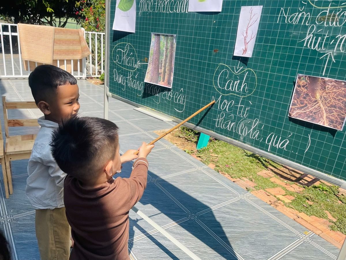 Ảnh hoạt động