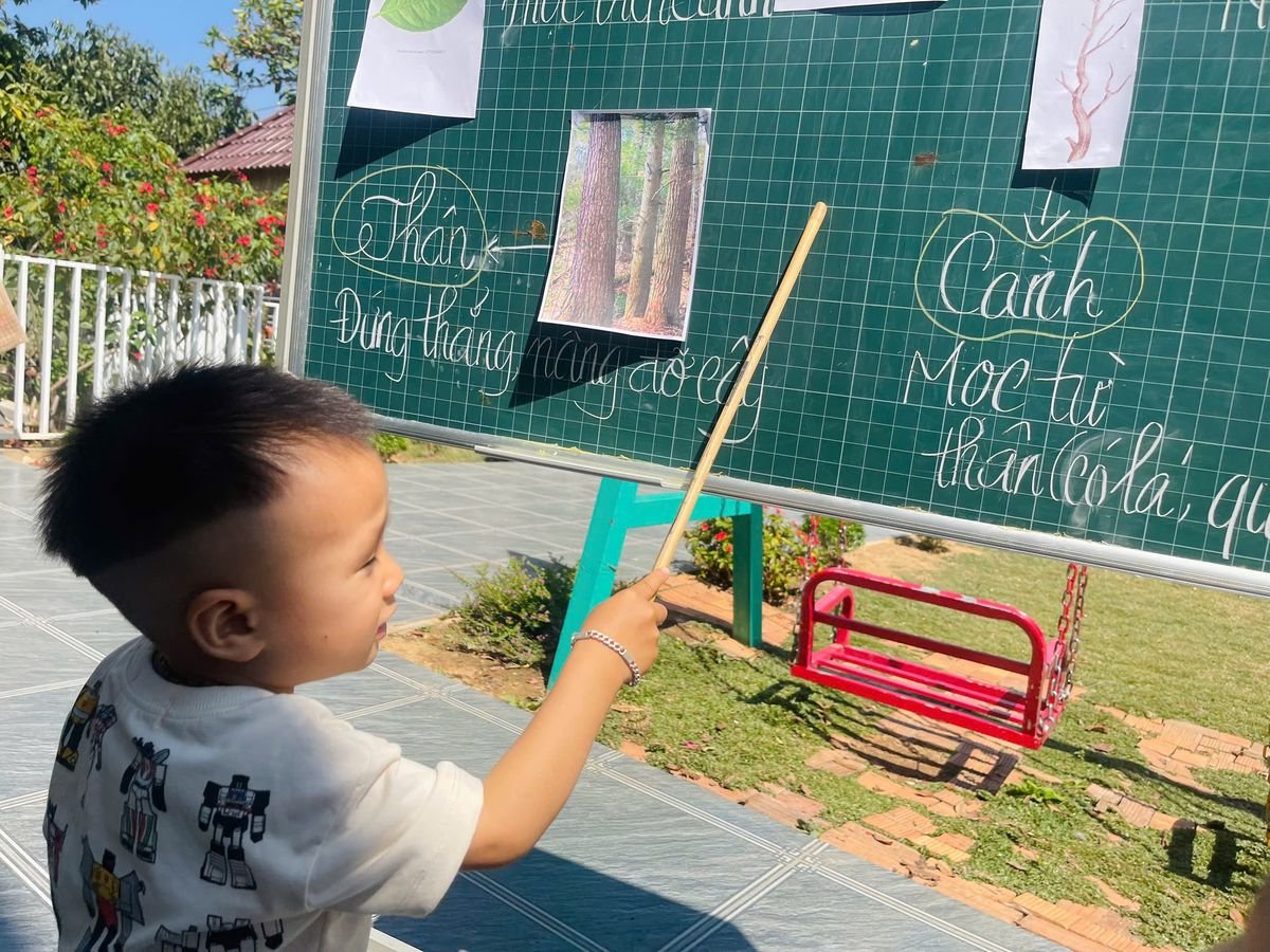 Ảnh hoạt động