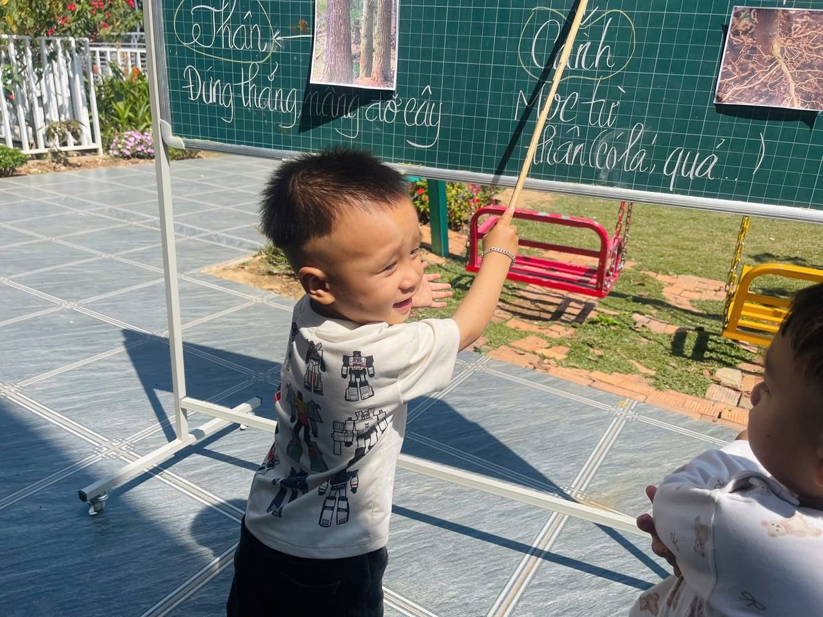 Ảnh hoạt động