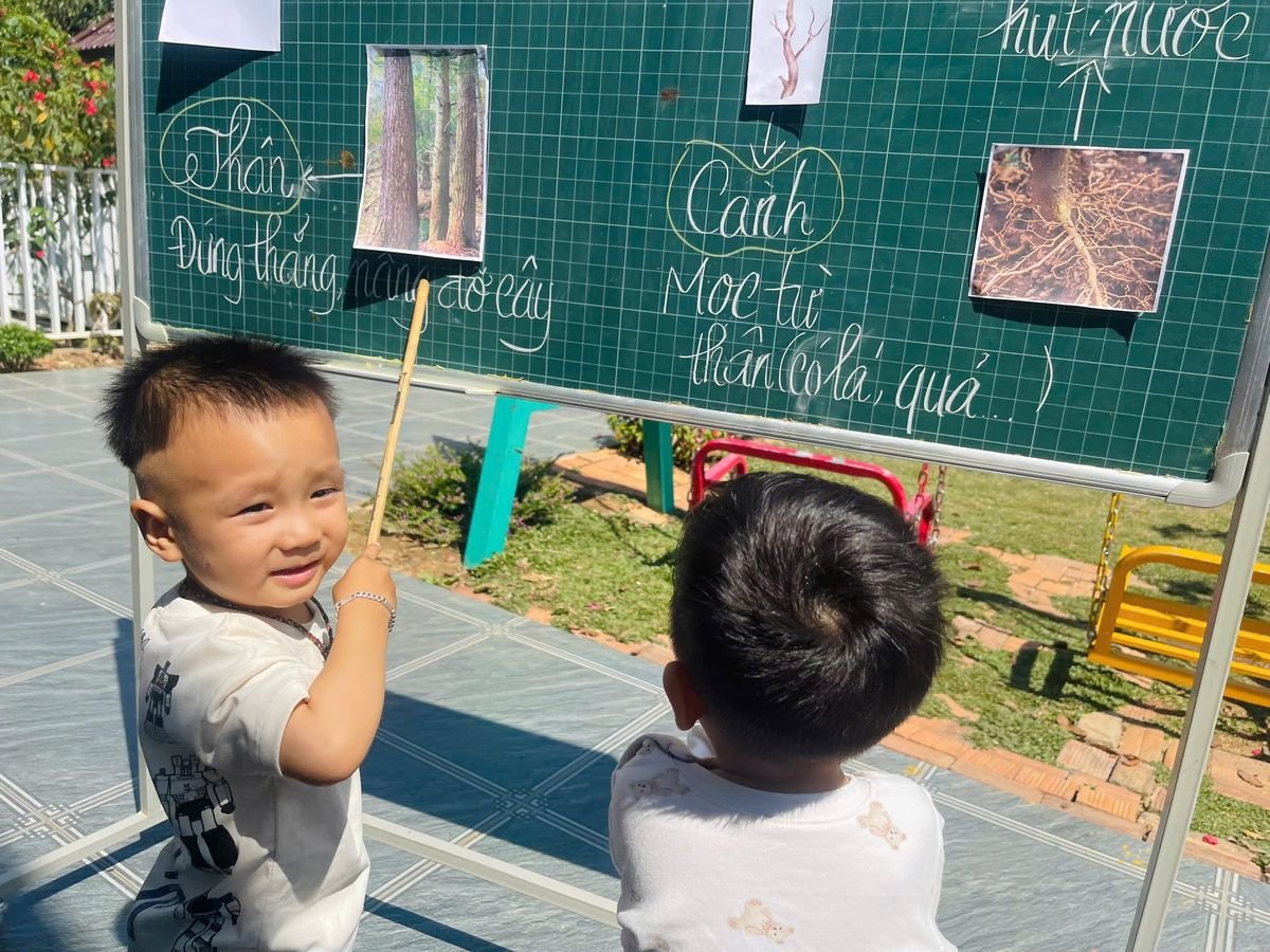 Ảnh hoạt động