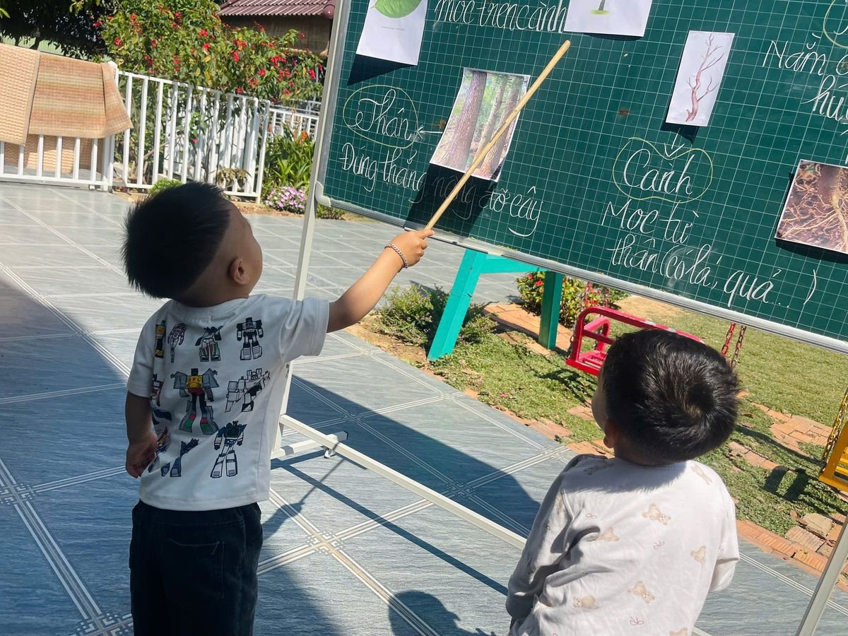 Ảnh hoạt động