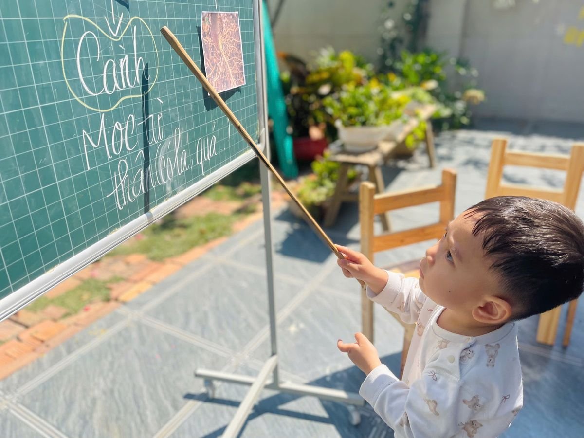 Ảnh hoạt động