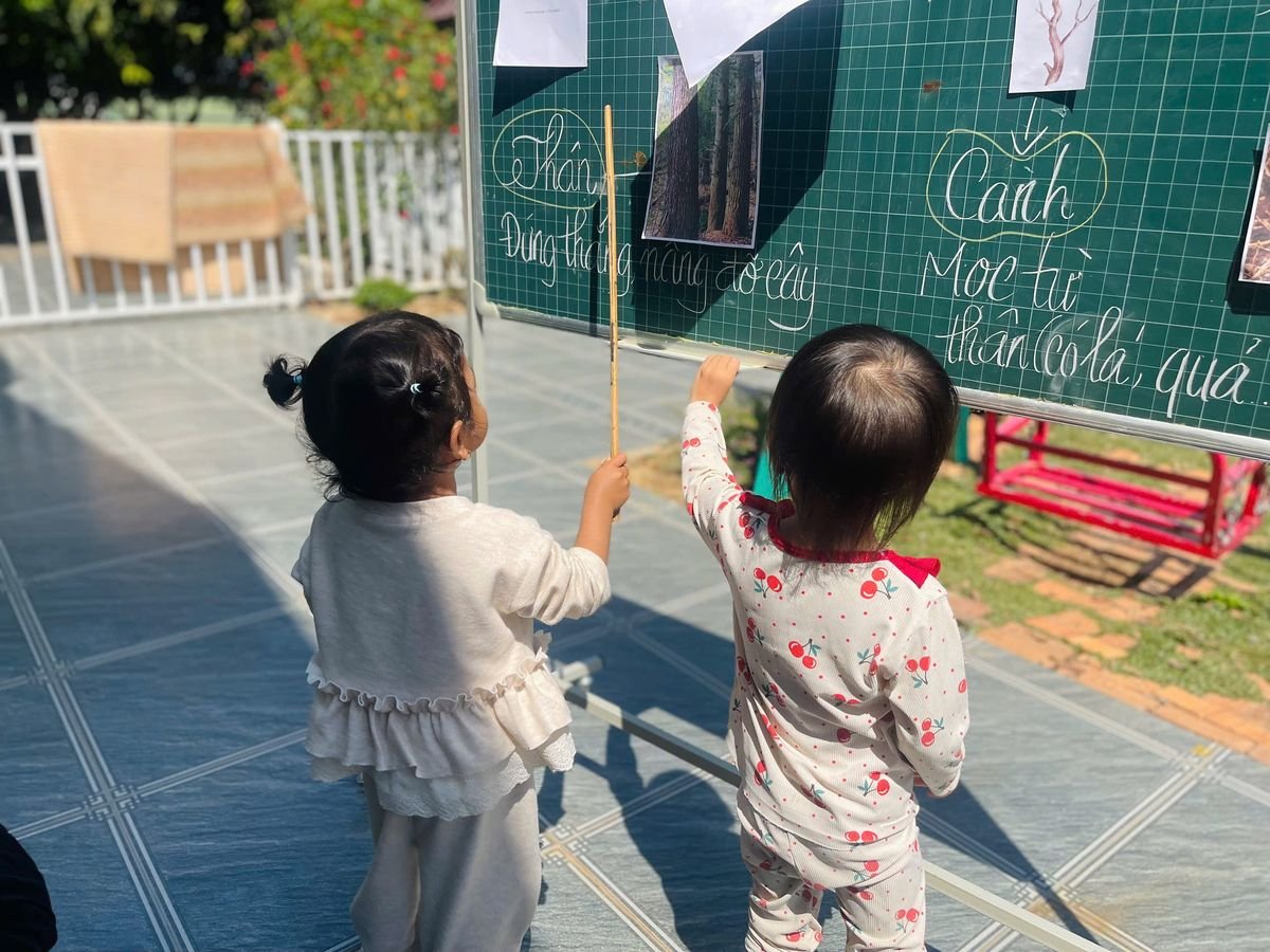 Ảnh hoạt động