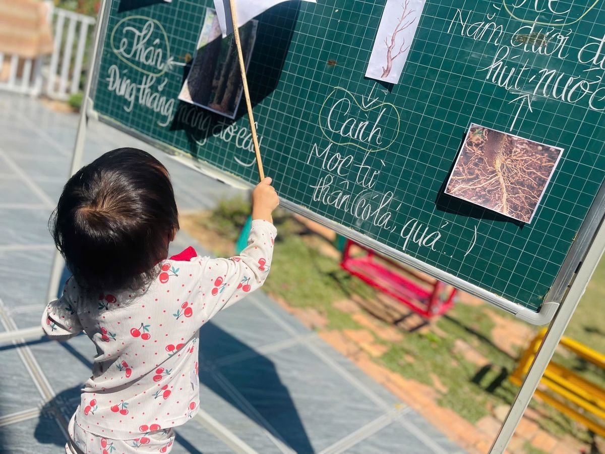 Ảnh hoạt động