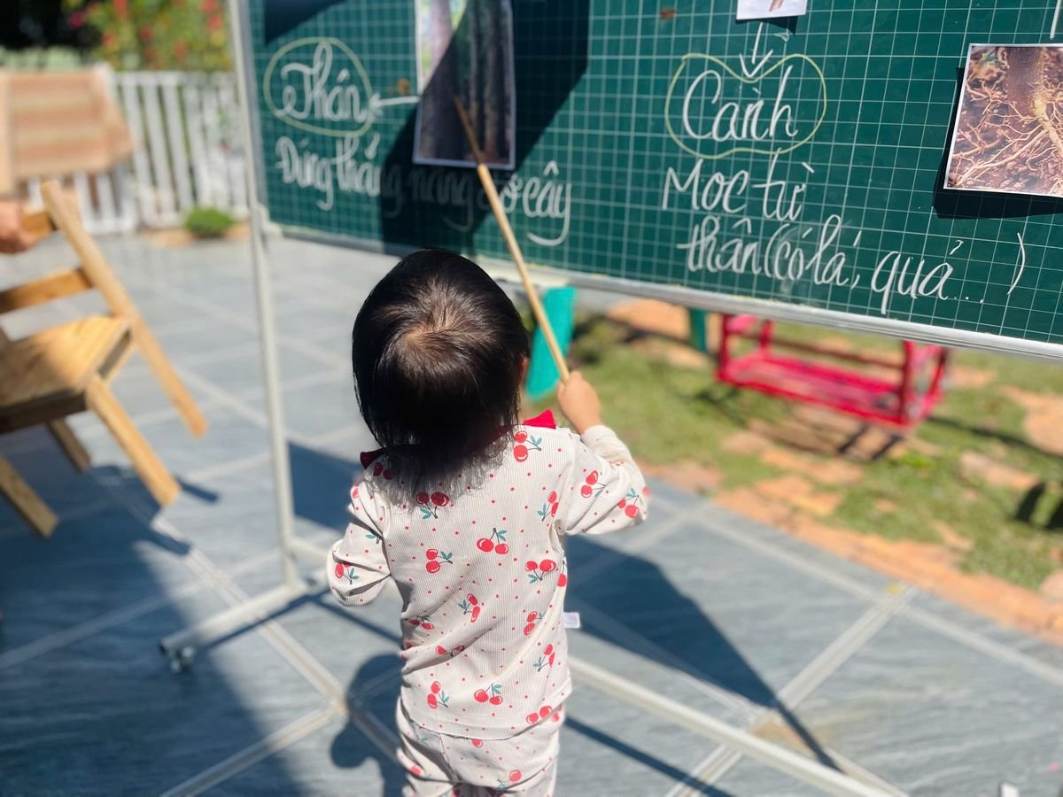 Ảnh hoạt động