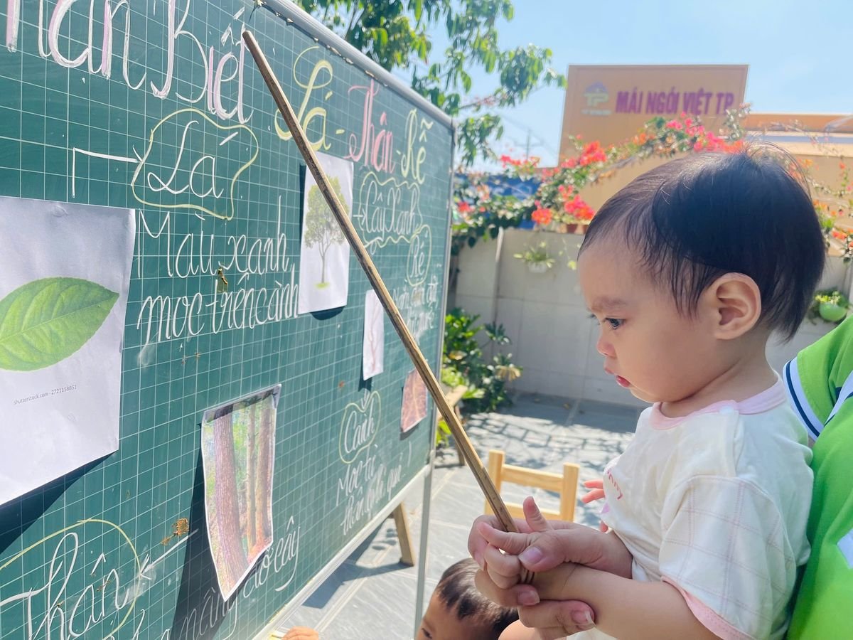 Ảnh hoạt động