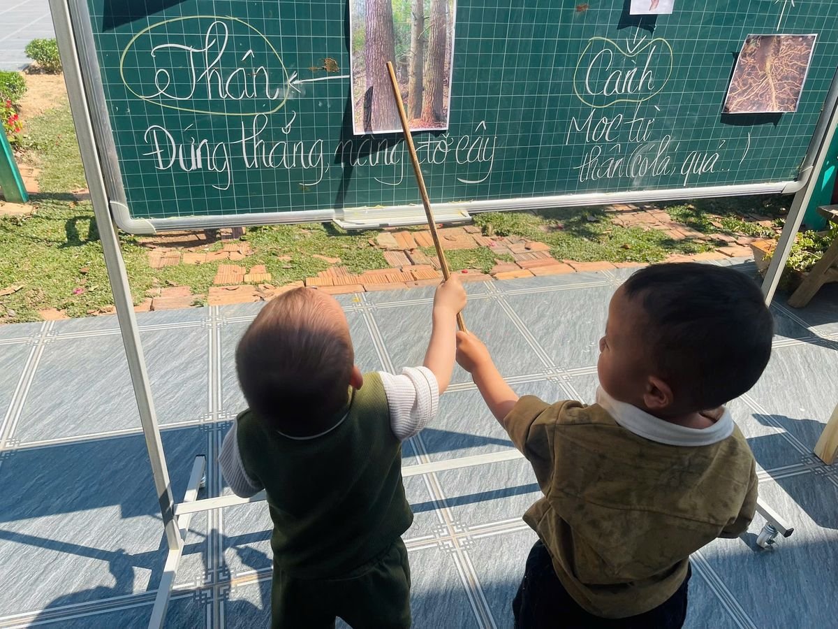 Ảnh hoạt động