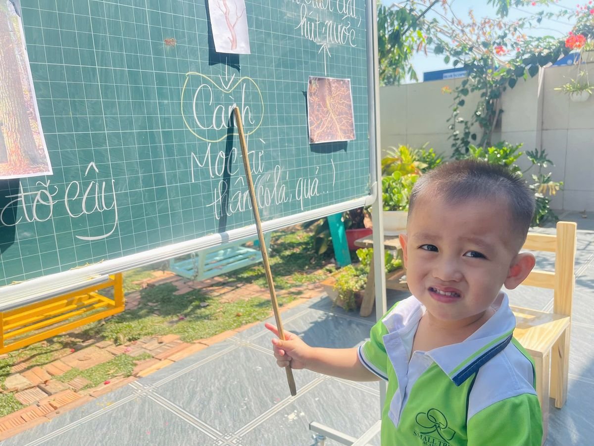 Ảnh hoạt động