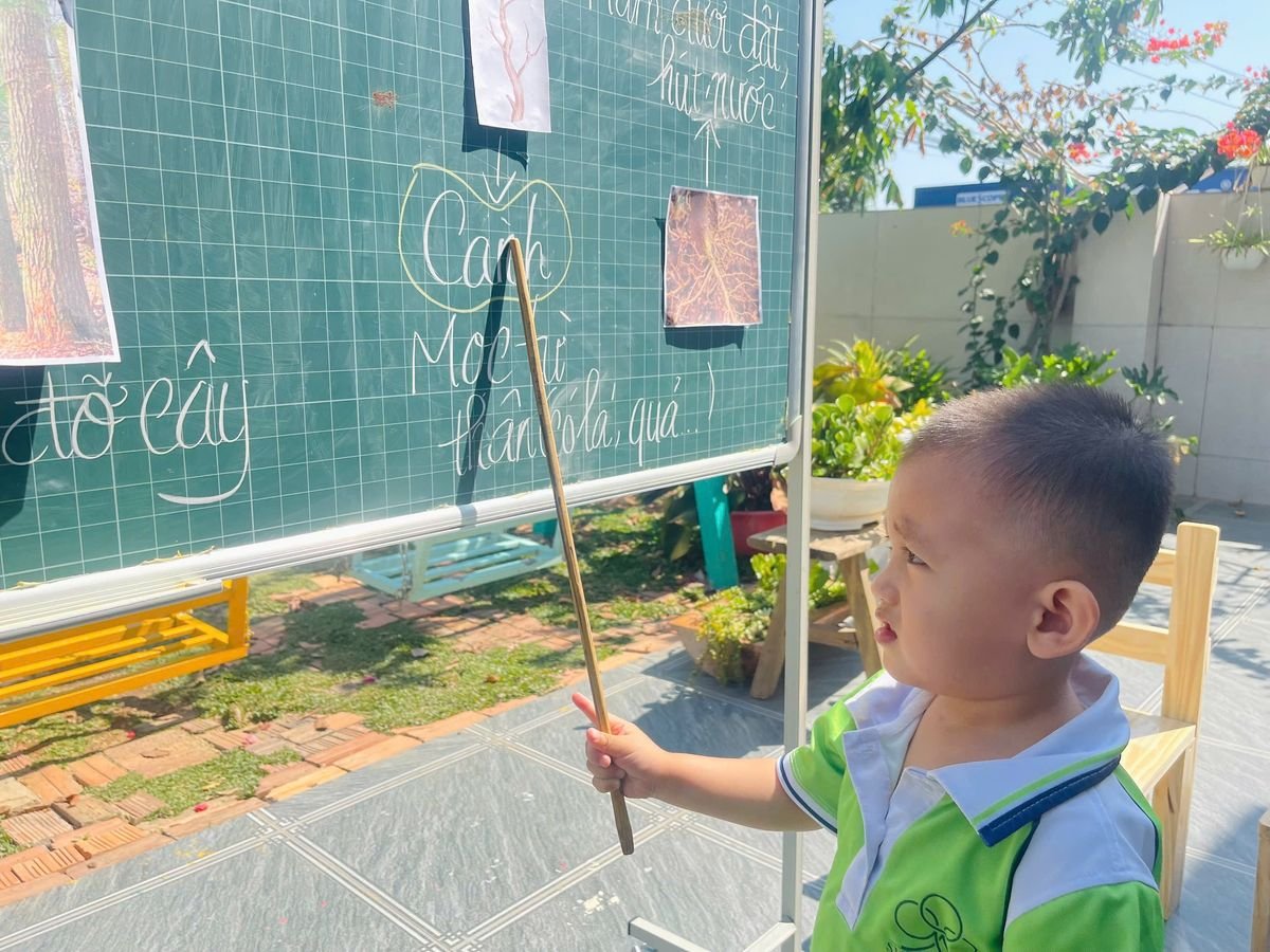 Ảnh hoạt động