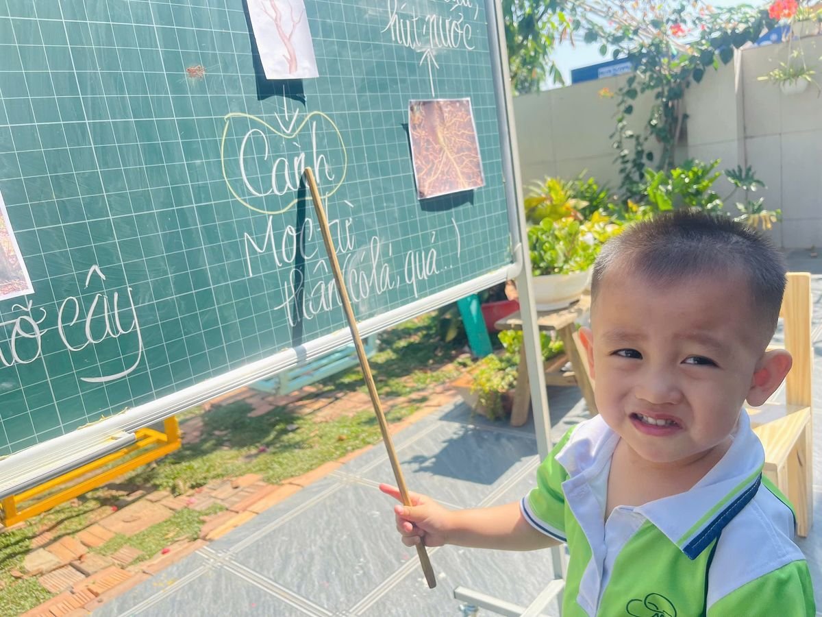 Ảnh hoạt động