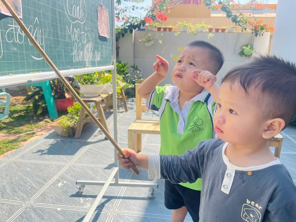 Ảnh hoạt động