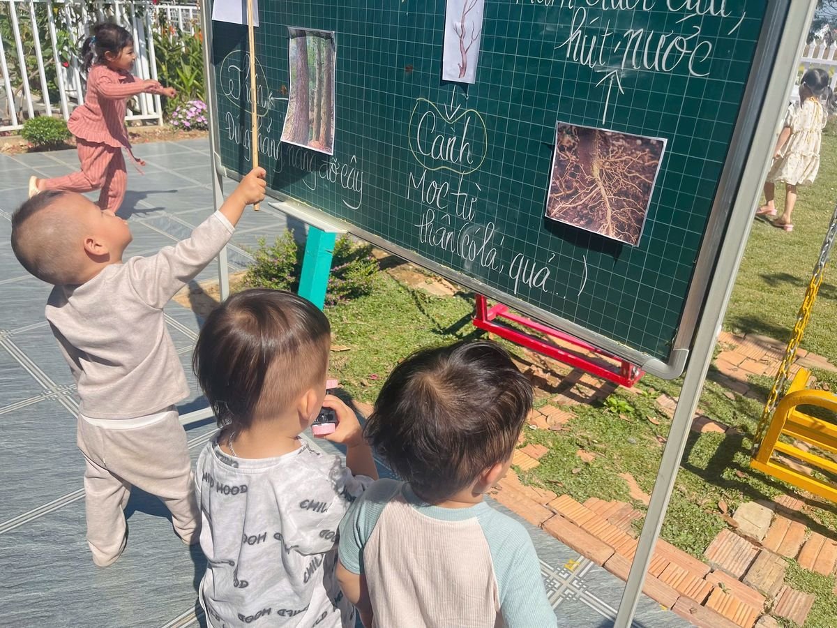 Ảnh hoạt động