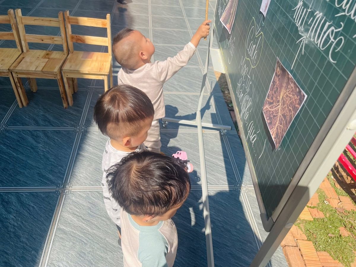 Ảnh hoạt động