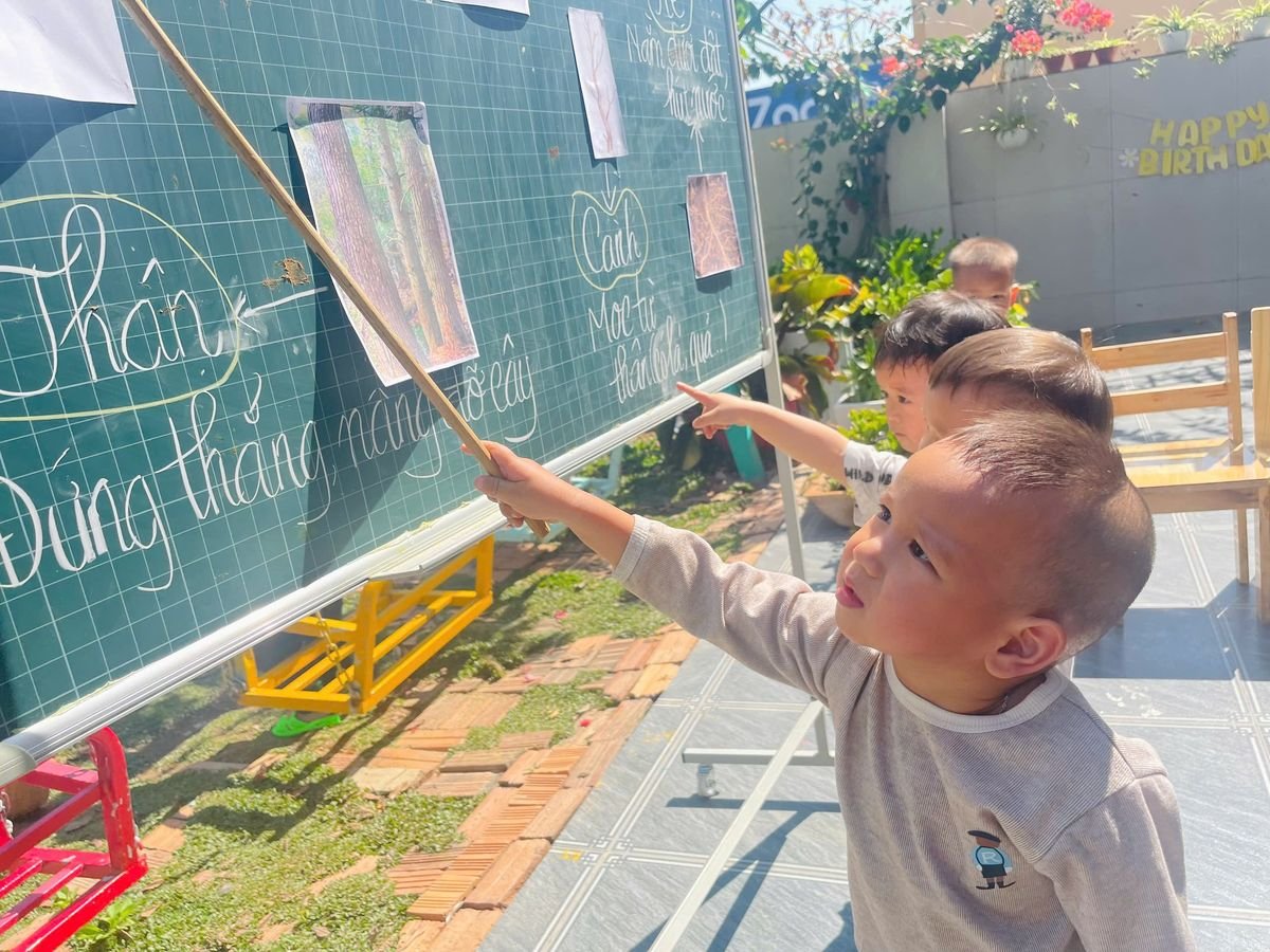 Ảnh hoạt động