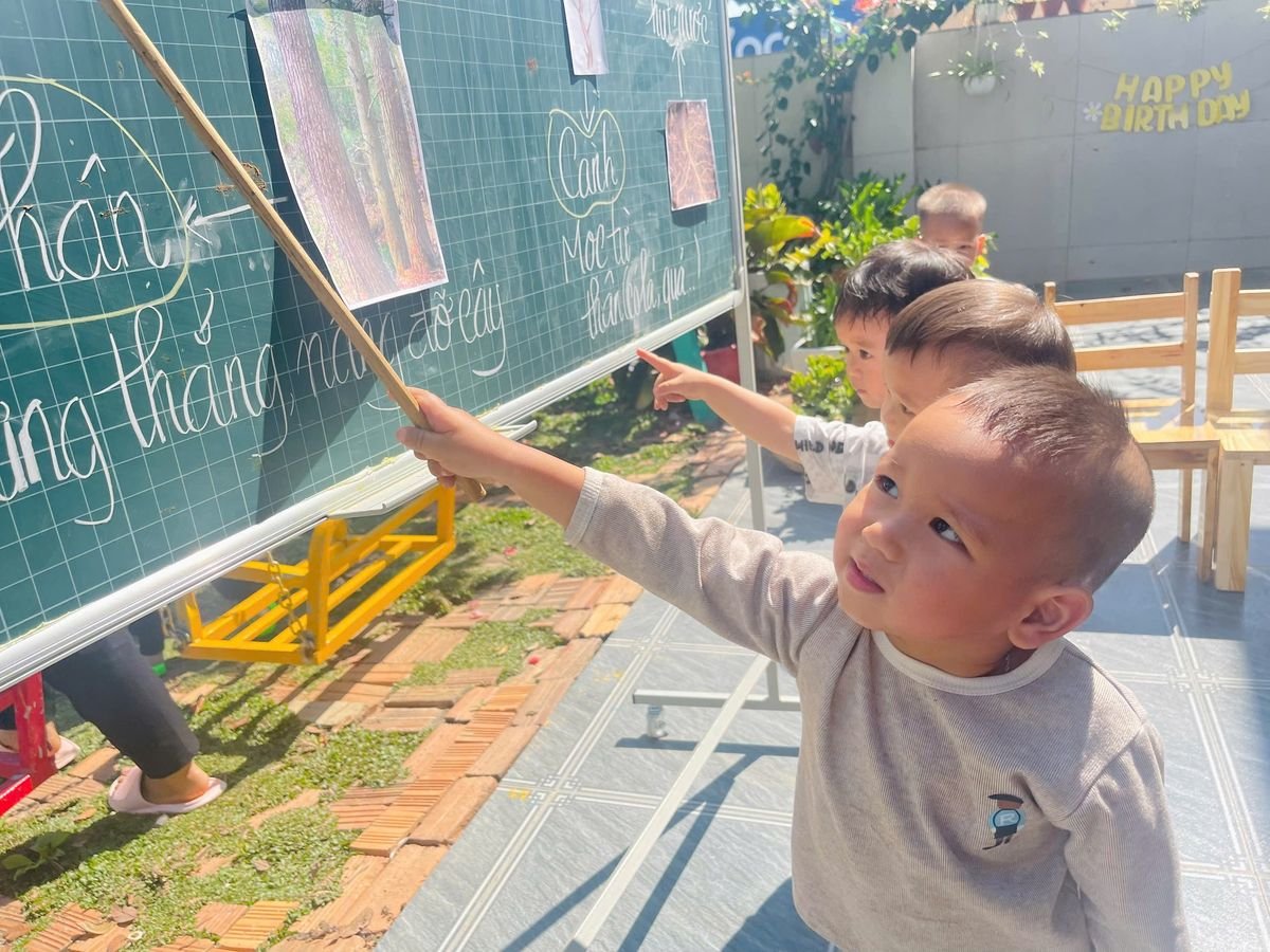 Ảnh hoạt động