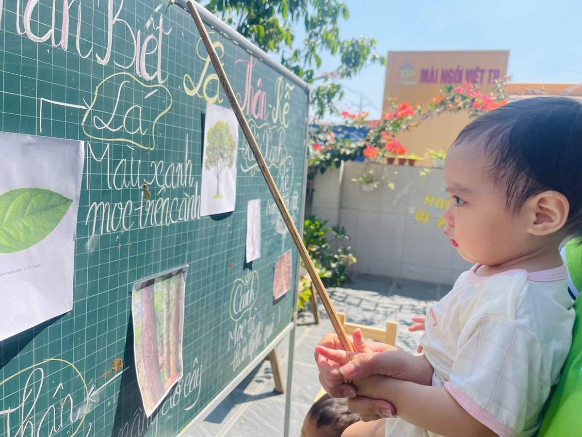 Ảnh hoạt động