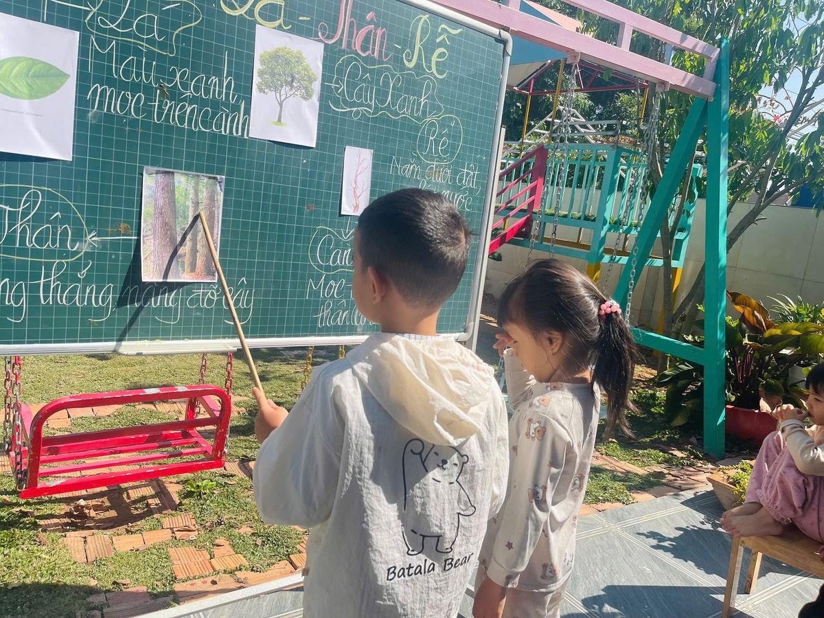 Ảnh hoạt động