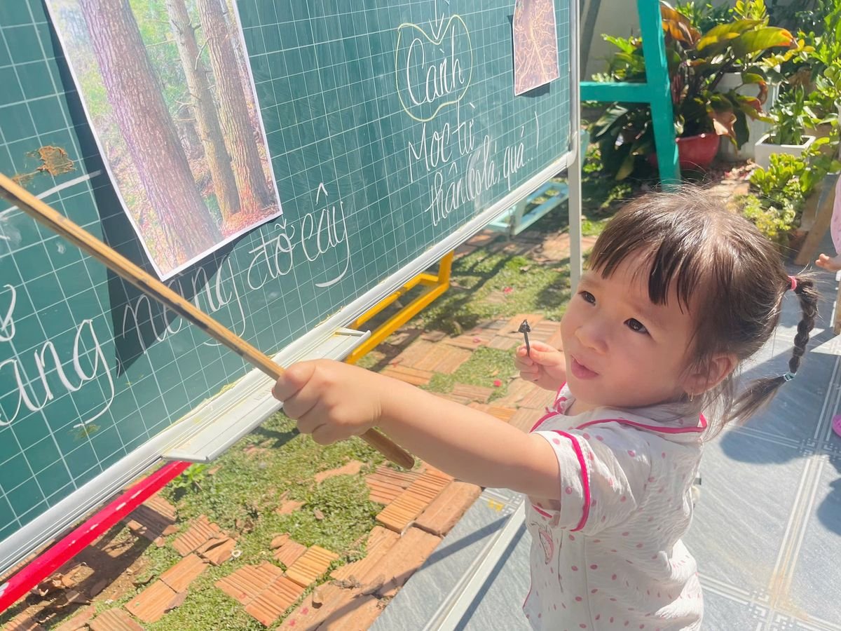 Ảnh hoạt động