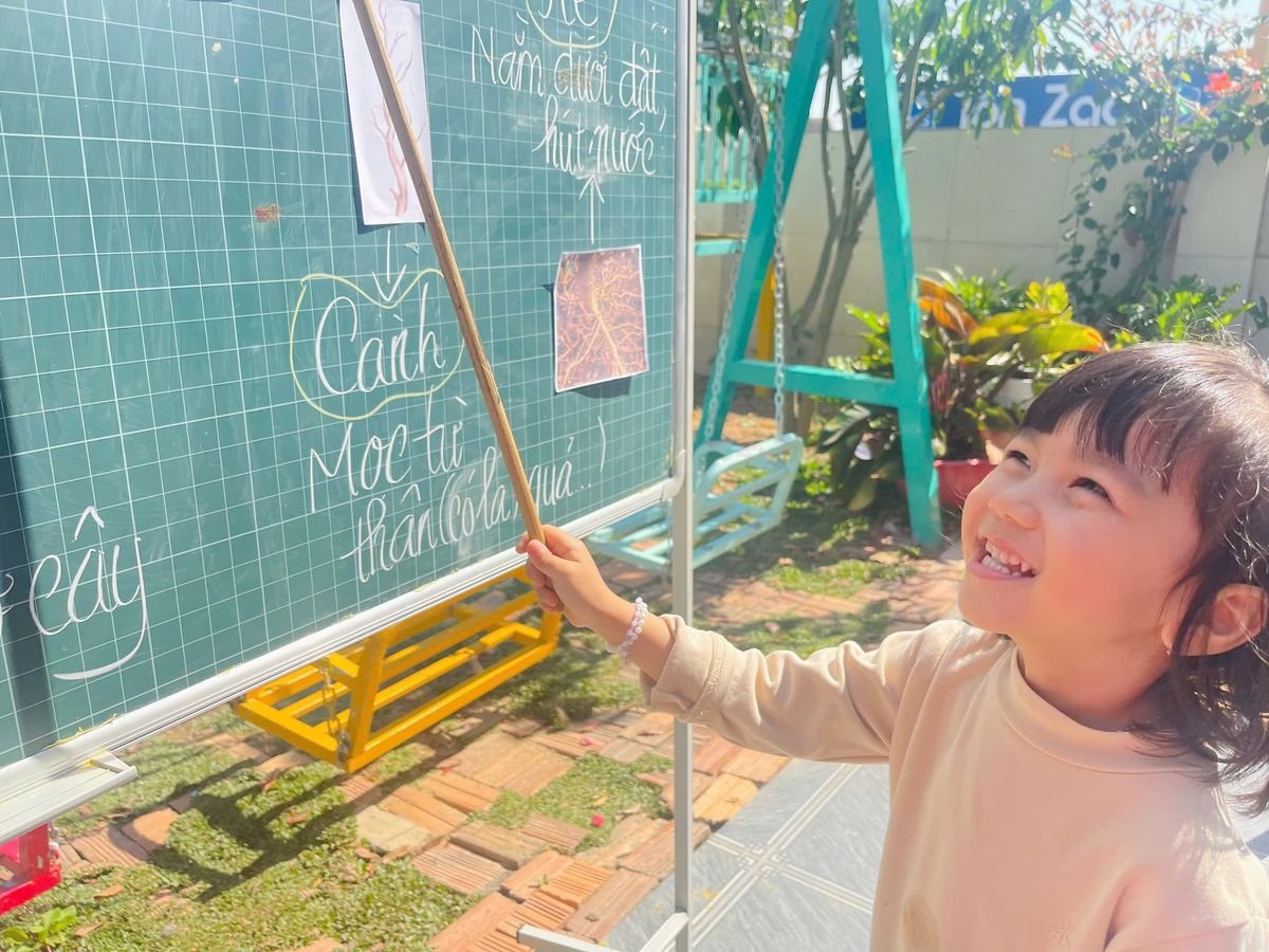 Ảnh hoạt động