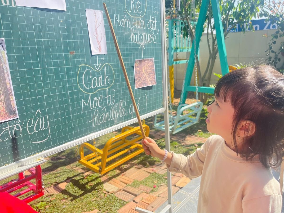 Ảnh hoạt động