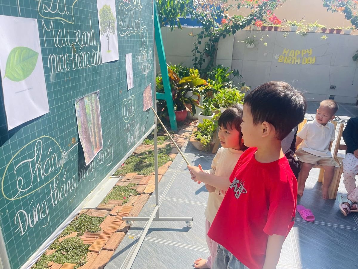 Ảnh hoạt động