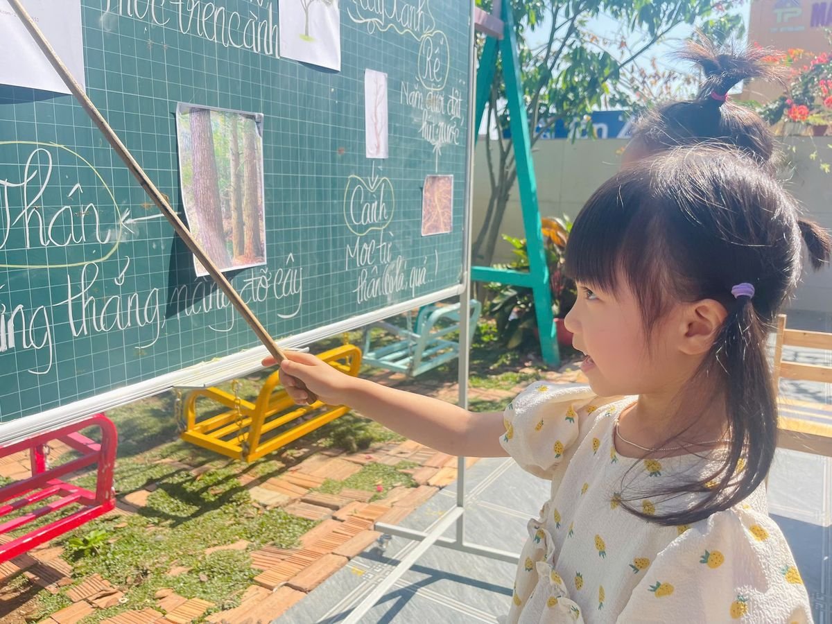 Ảnh hoạt động