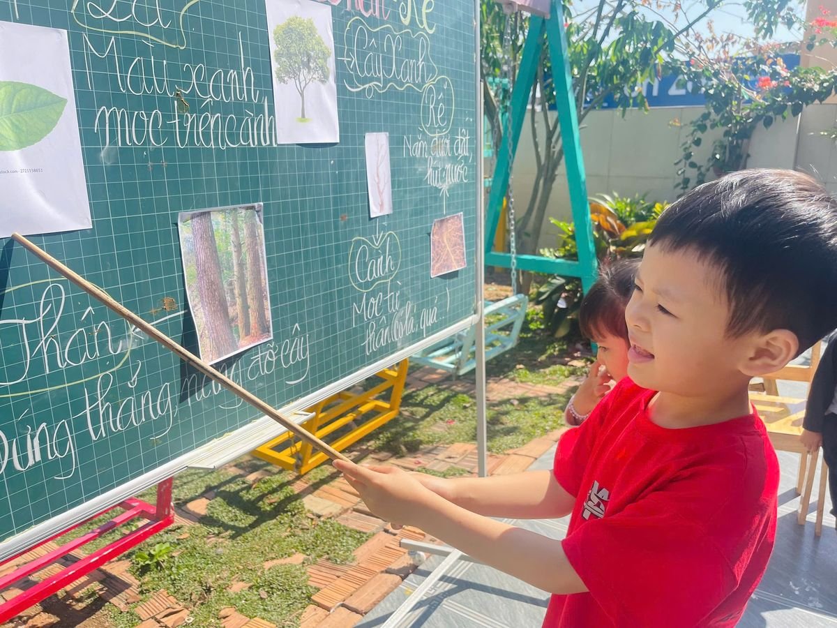 Ảnh hoạt động