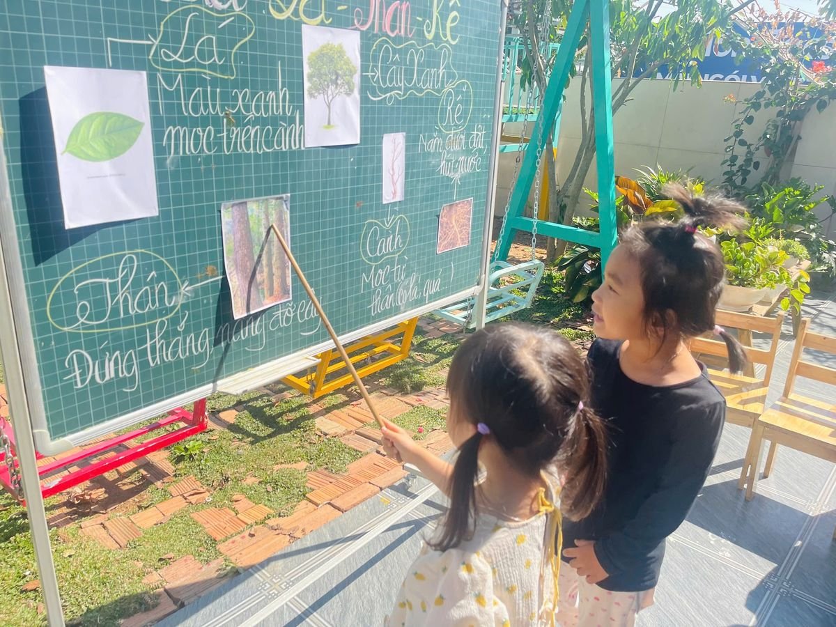 Ảnh hoạt động