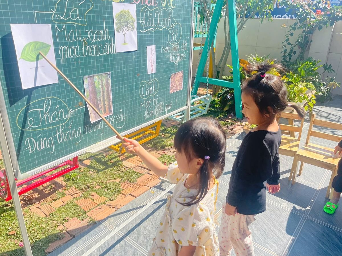 Ảnh hoạt động