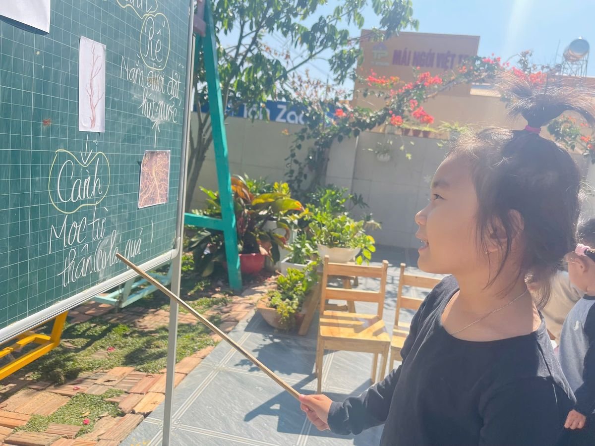 Ảnh hoạt động