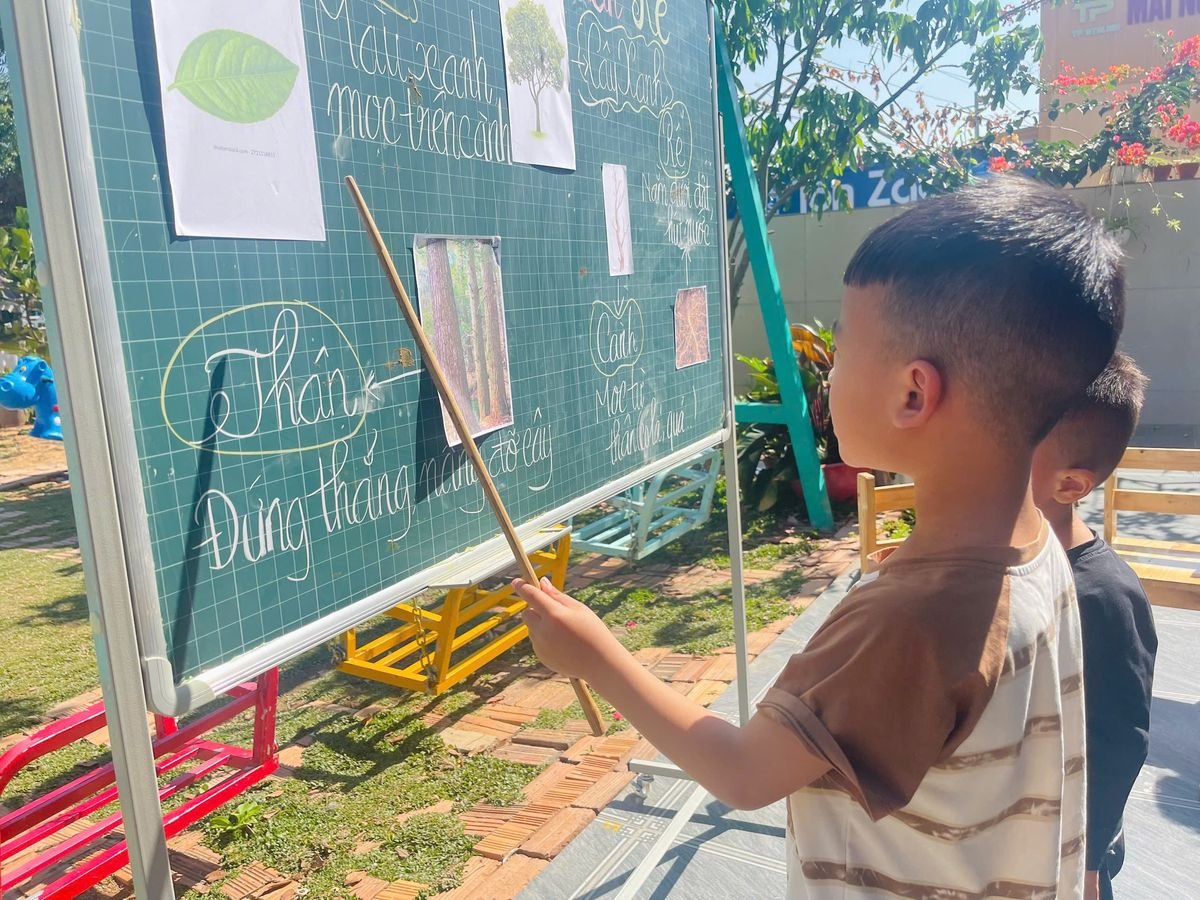 Ảnh hoạt động