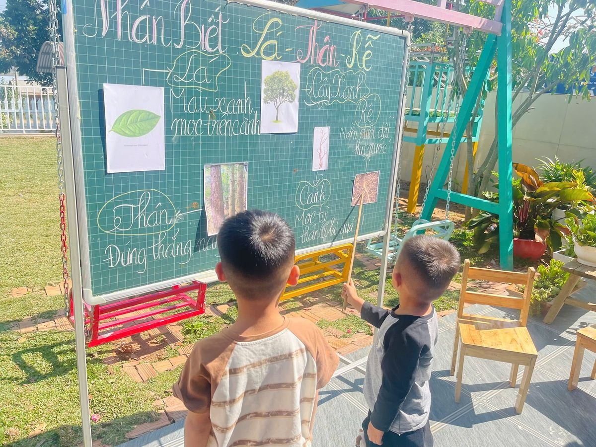 Ảnh hoạt động