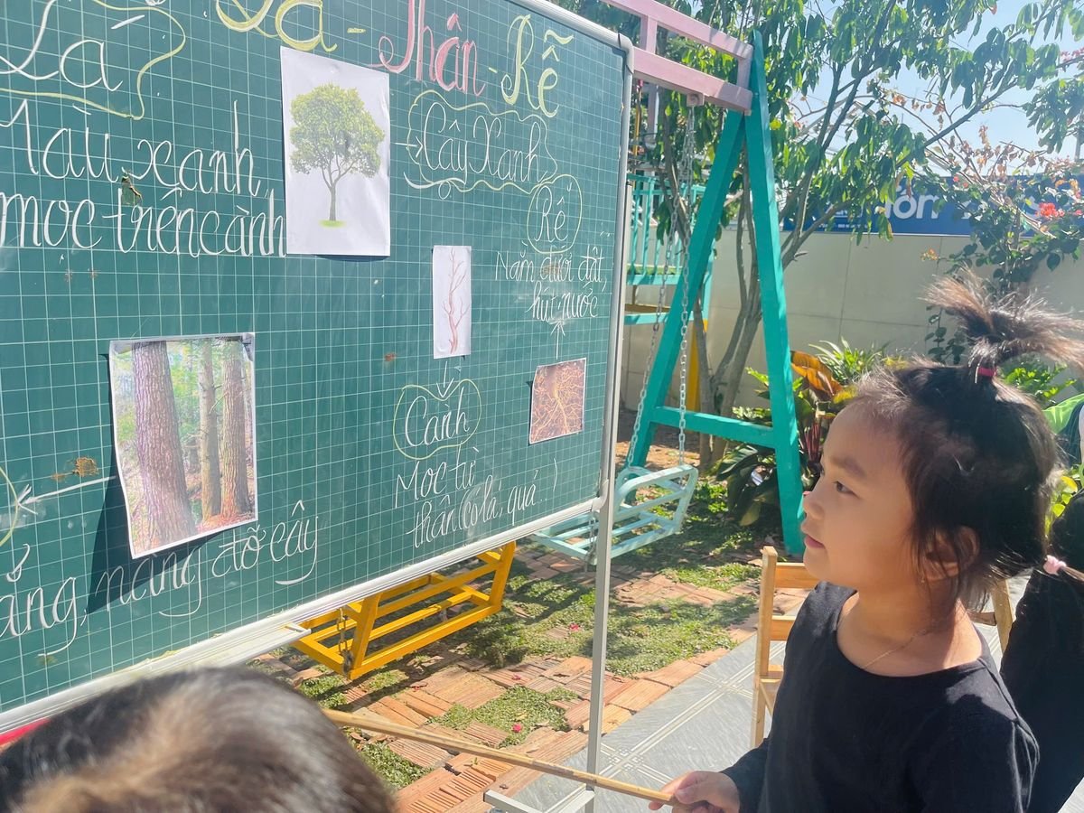 Ảnh hoạt động