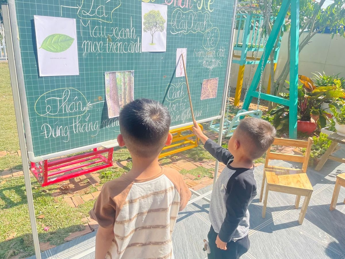 Ảnh hoạt động